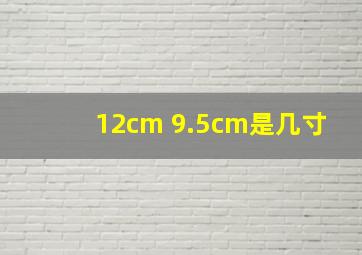 12cm 9.5cm是几寸